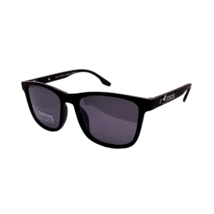 P21127 Polarized Sunglass sunglasses — main view | Nine Optic Bangladesh