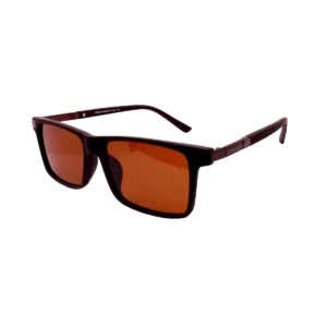 22003 Polarized Dark Brown Sunglasses sunglasses — main view | Nine Optic Bangladesh